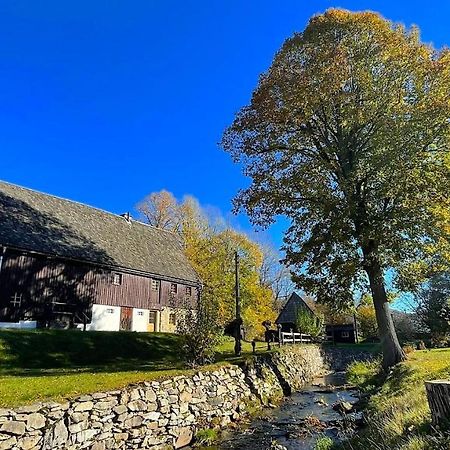 Вилла Wildbachidylle Lichtenberg/Erzgebirge Экстерьер фото